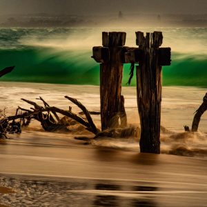 Bleached Wood on a windswept shore