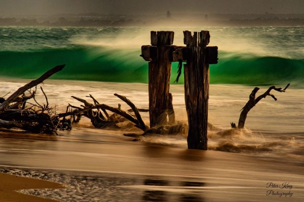 Bleached Wood on a windswept shore